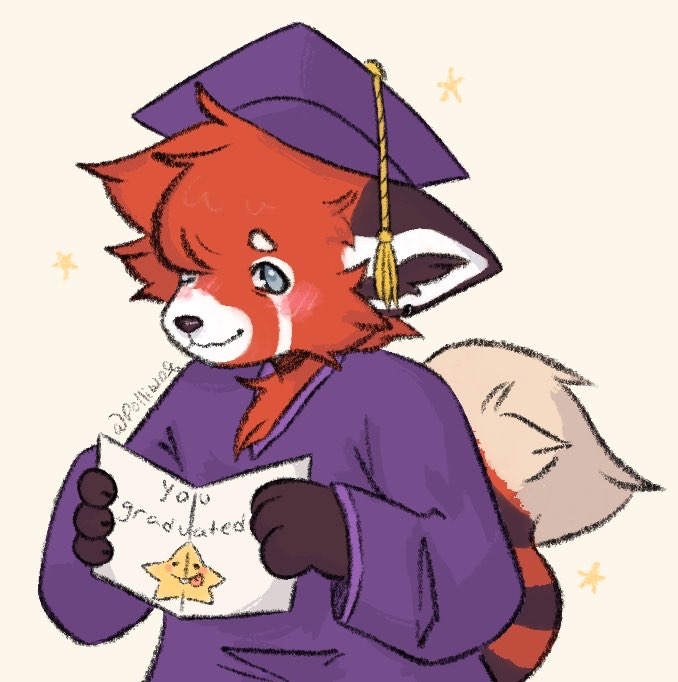 picture of beau in a graduation outfit, holding a book that says 'you graduated' with a star